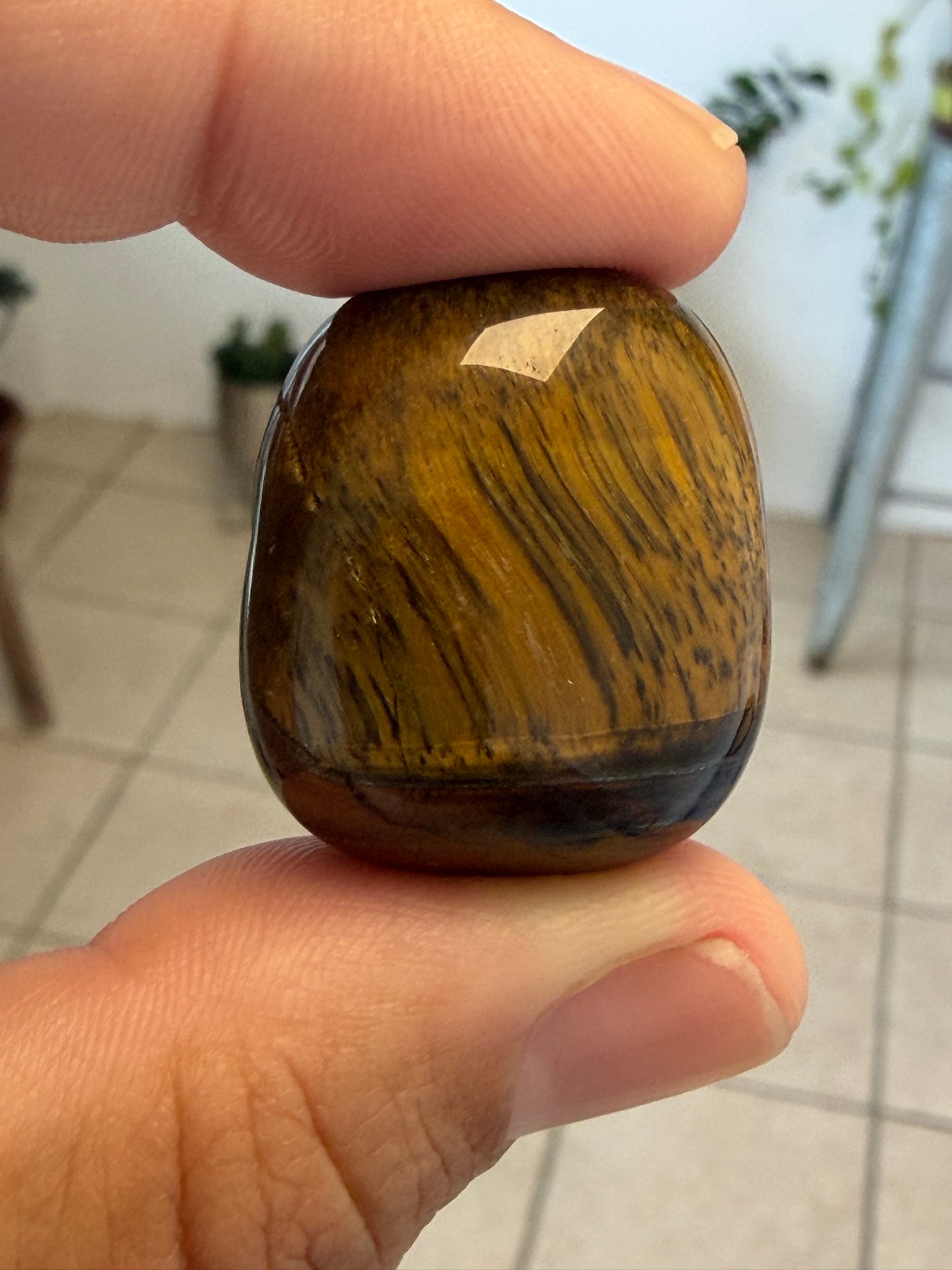 Gold Tigger Eye Tumbled Stone Large - India