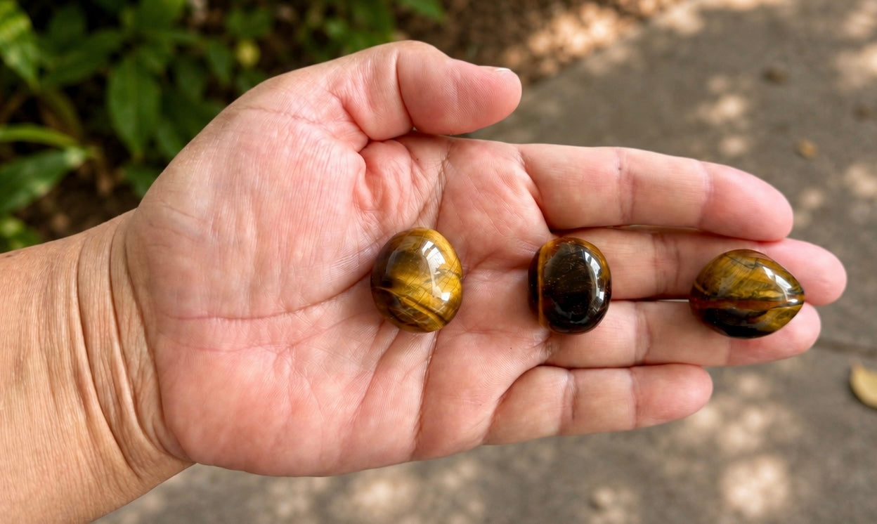 Gold Tigger Eye Tumbled Stone Large - India